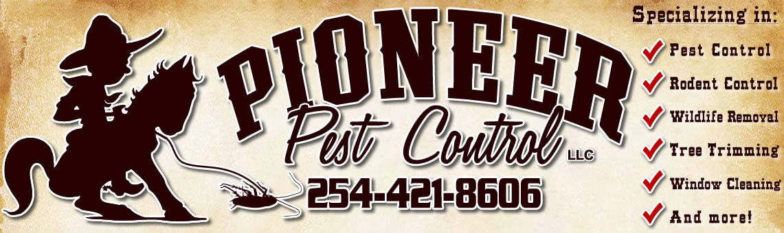 Pioneer Pest Control & Extermination Service Waco, Texas 254-421-8606
